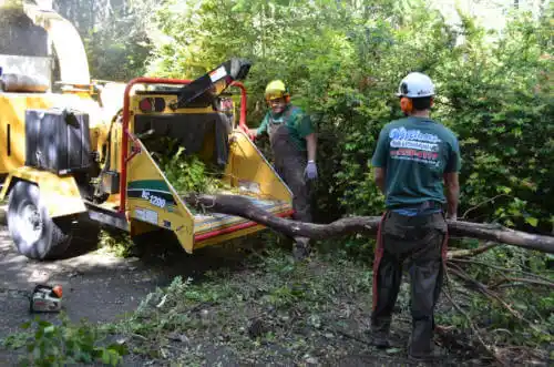 tree services West Pleasant View